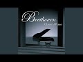 Beethoven sonate pour piano n25 en sol majeur op 79  3 vivace