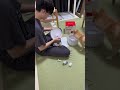 こつめの水飲み場がランクアップした日🦊今までは容器に水を入れてたから、毎日交換してたのと、時間が少し経つと衛生的じゃないなあって思ってたんだけど、浄水器なんてものを見つけてしまった #shorts