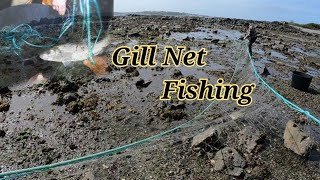 Coastal Gill Net Fishing From The Shore