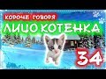 КОРОЧЕ ГОВОРЯ, ЛИЦО КОТЕНКА 34 [От первого лица] Бездомный котенок Лайки супер герой