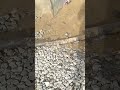 volvo xc70 exhaust muffler rusted