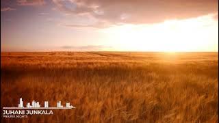 🎵 Juhani Junkala - Prairie Nights No Copyright Music cc0
