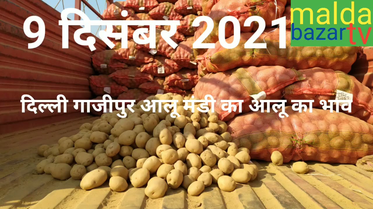 potato price today Ghazipur Mandi 9 December 2021 YouTube