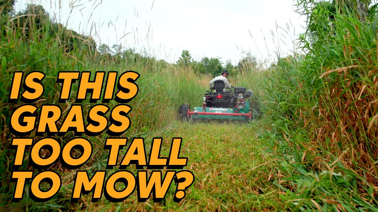 THIS FLAIL MOWER IS GONNA EAT!