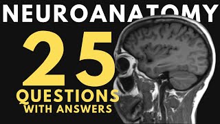 Neuroanatomy practice test: 25 questions with answers and explanations screenshot 5