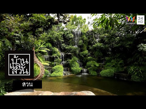วีดีโอ: ไอเดียสวนรางน้ำ – วิธีการปลูกสวนพรุภายใต้รางน้ำ
