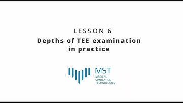 MST Masterclass - Lesson 06 - Depths of TEE examination in practice