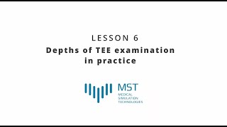 MST Masterclass - Lesson 06 - Depths of TEE examination in practice