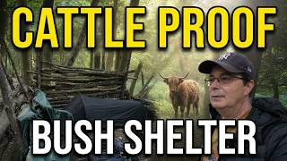 Minimalist Bike Packing with Highland Cows | Secret Bushcraft Shelter & Minimal Gear Wild Camp