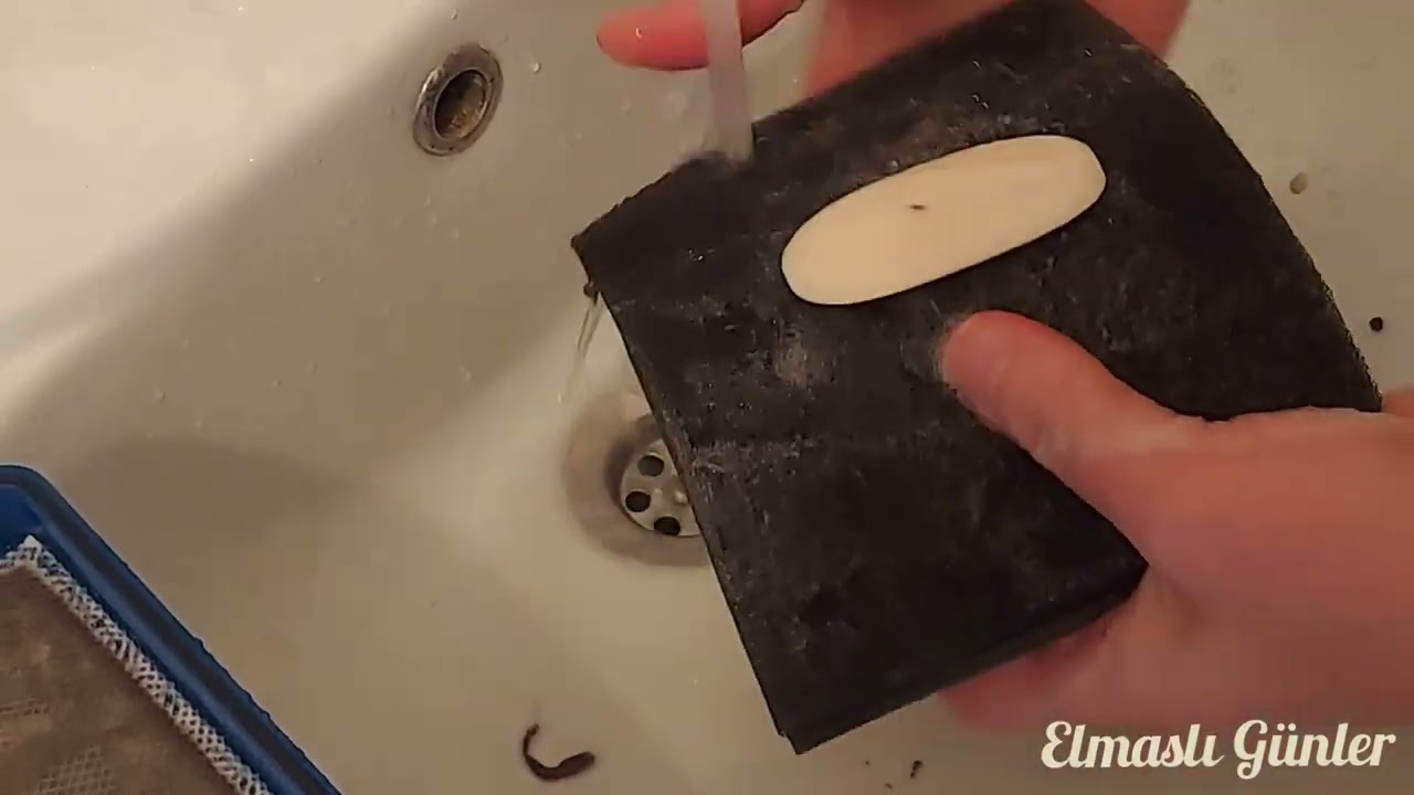 Marathon Ultimate Filtre Temizliği Yaptık / Philips Marathon Filtre Yıkama 