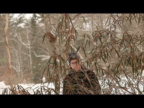 Video: Ziemas Marcescence - fakti par marcencējošām lapām kokos