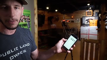 HEAD TO HEAD -  Hoyt PSE and Bear 30" Maddness