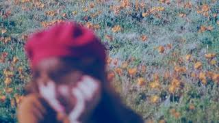 Motionfield - I will follow