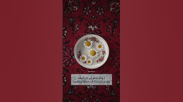 سورة يونس آية 25 | علي جابر