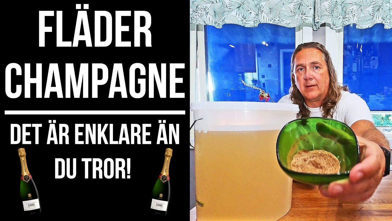 Hur man gör Fläderchampagne