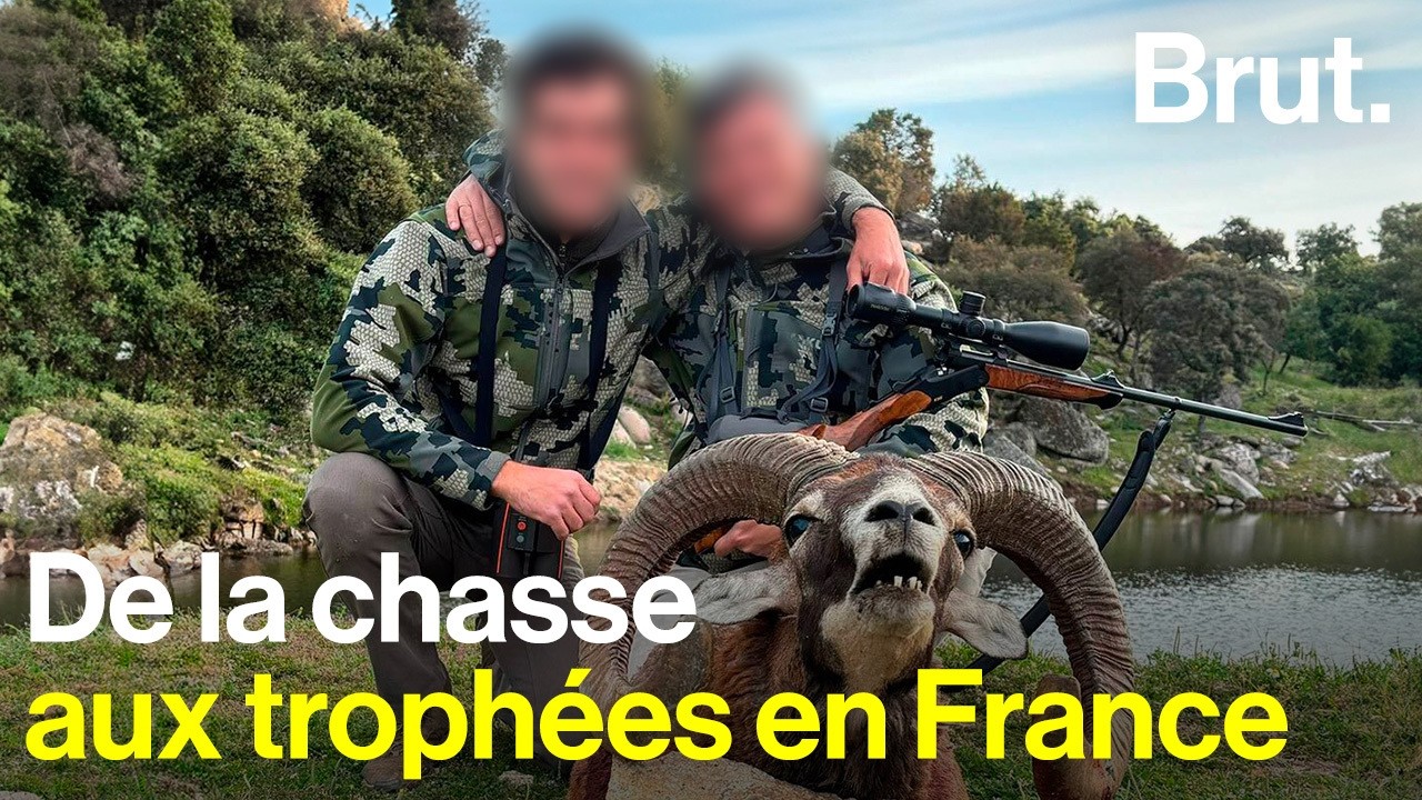 Les chasses aux trophées organisées en France