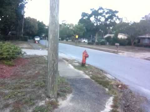 The Daily Woo - Day 108 - 10/17/2012 - Niceville Neighborhood Watch !