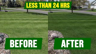 How To Get Your Grass DARK GREEN  In Less Than 24 Hours!!