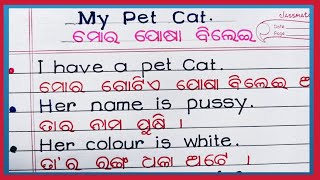 My Pet Cat ten lines essay in english and odia | Ten line essay for class IV, V, VI students |