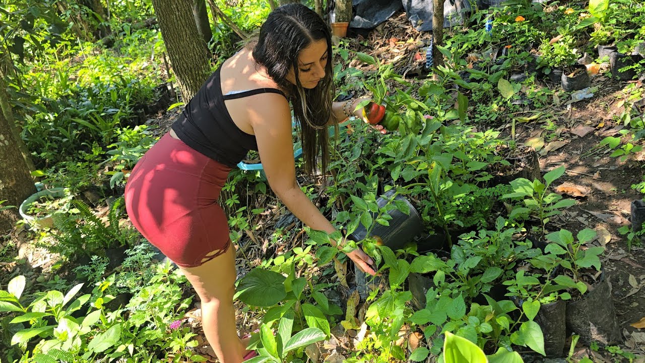 🚨🌱😱Acompañenmen a regar mi jardín y vean con lo que me encontré 😲🌼🌱