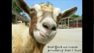 Goat And Friends