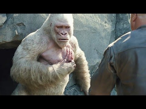 [HINDI] George Kill