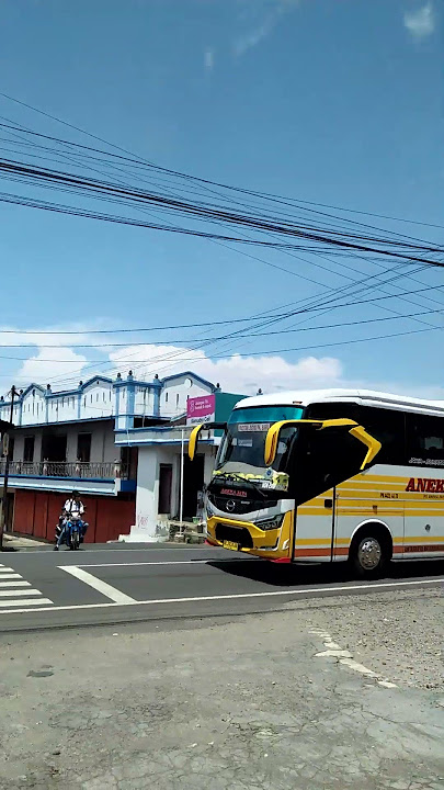 Keberangkatan Bus Aneka Jaya dari Pacitan Menuju Pekanbaru - Jambi #busmania #anekajaya #bislover
