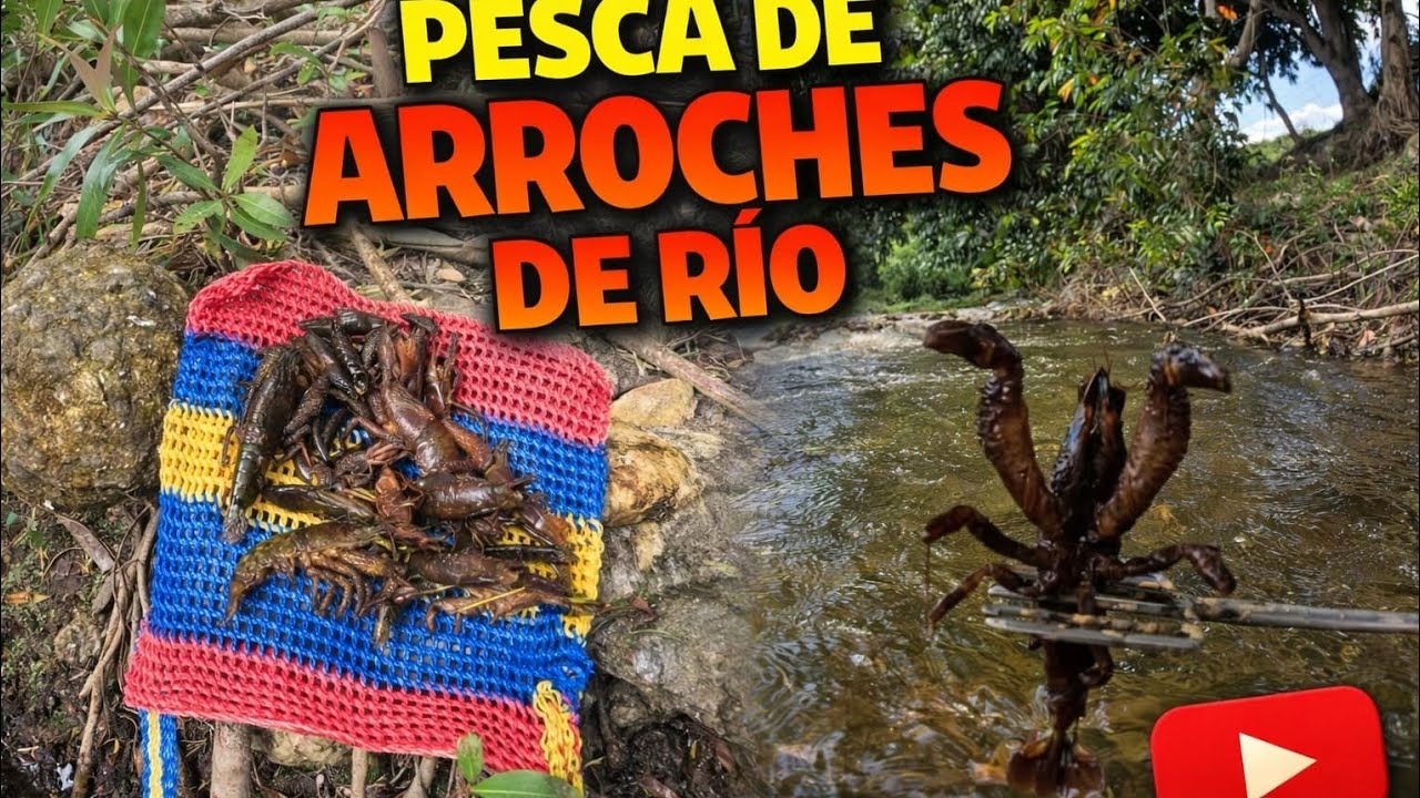 PESCA EN AGUAS CRISTALINAS 