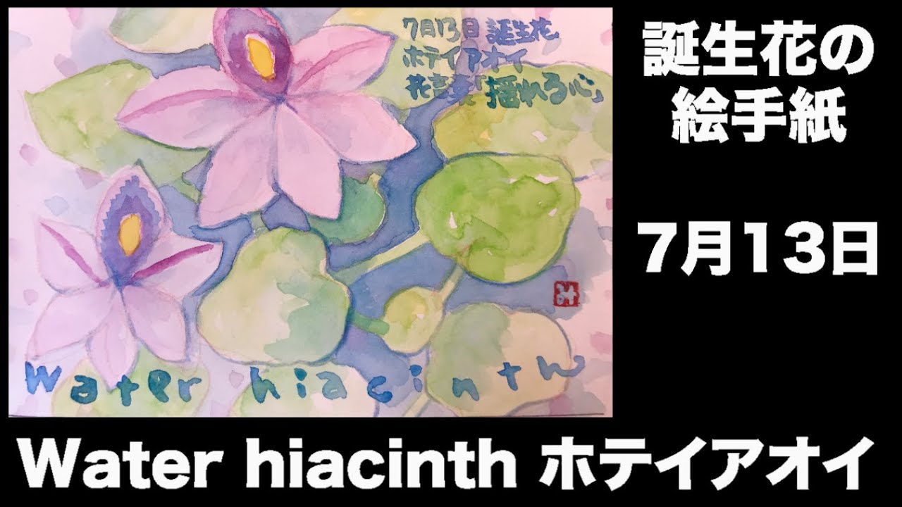 誕生花の絵手紙 ７月13日 Water Hiacinth ホテイアオイ Youtube