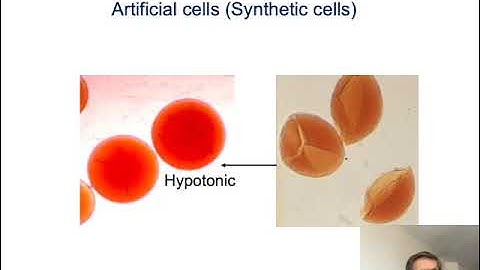 1. Artificial cells (Synthetic cells): invention, innovation and translation