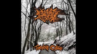 NO ONE GETS OUT ALIVE  "LxGxOx" from SEVERE COLD Album on Rotten Roll Rex