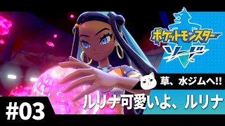 初めてのポケモン剣盾　Part.3