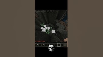 no way bro☠️ #minecraft #shorts  #viralshort #skull