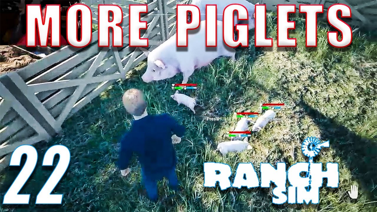 More Cows AND Pigs Ranch Simulator 22 YouTube more-cows-and-pigs-ranch-simulator-22-youtube