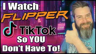 I Explain Flipper Zero videos on TikTok So You Don't Have To! 🐬🙊🙉🙈😱
