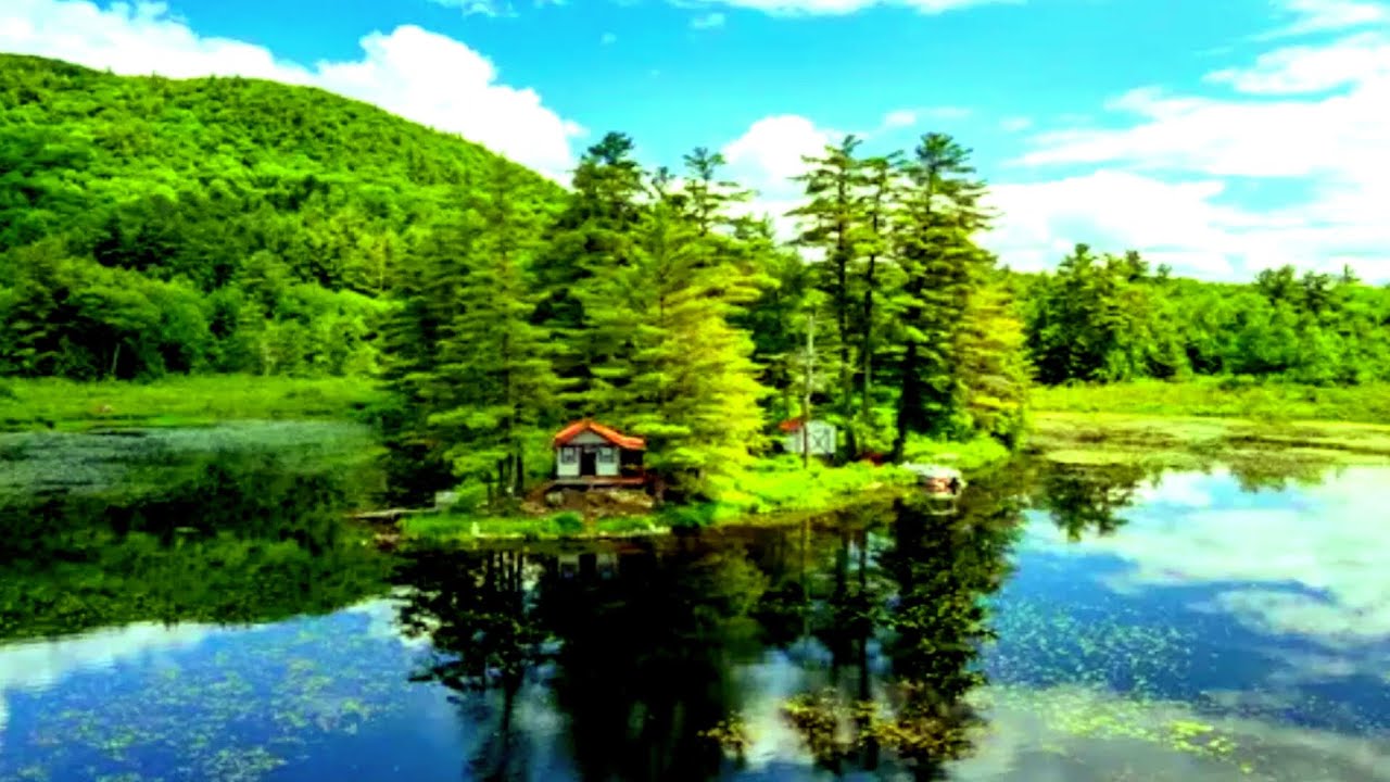 Vermont Lakefront Cabin For Sale 185k 1.75 acres Waterfront
