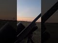 Hunting Coyotes #coyotehunting