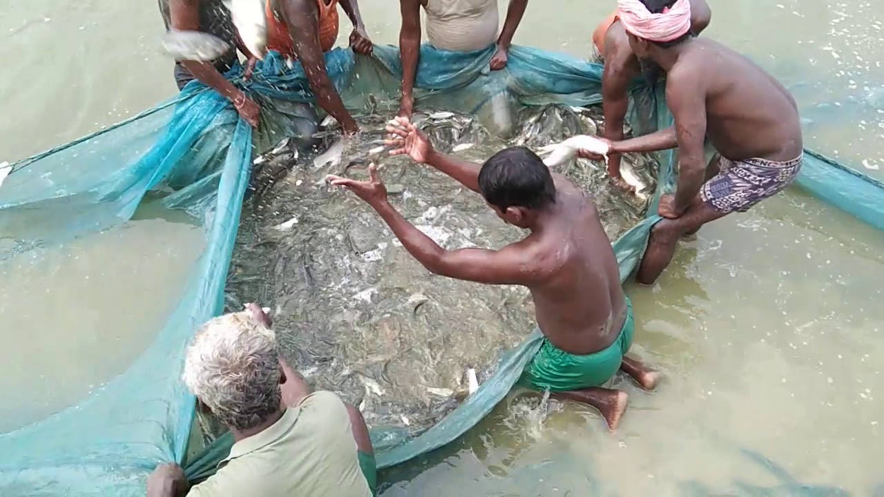 fish farming business plan in nepal