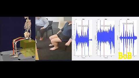 EMG signal, IMU data and synchronised video