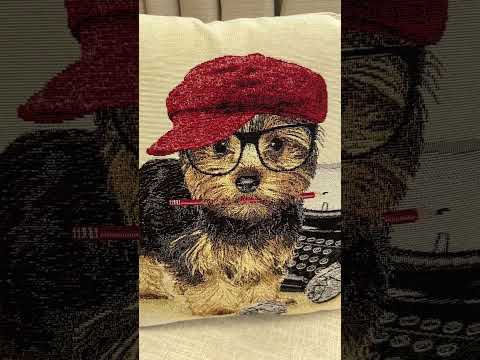 Writer Yorkie