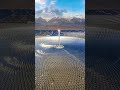 China Solar Power