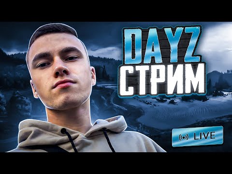 КАК В СОЛО РАЗНОСИТЬ СЕРВЕР?! DAYZ PvP