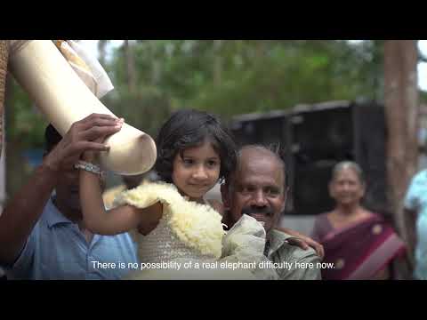 Disha Patani Donates Lifelike Mechanical Elephant to Kerala Temple with PETA India