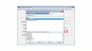 Wisconsin - Creating the State Quarterly Returns E-File in AMS Payroll - TIB-4 Format