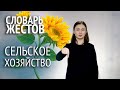 Cловарь РЖЯ:: Сельское хозяйство