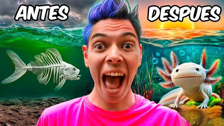 CAMBIE LA VIDA DE UN AJOLOTE ABANDONADO