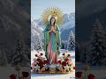12 October 2025 #Our Lady of Guadeloupe pray for us 🙏