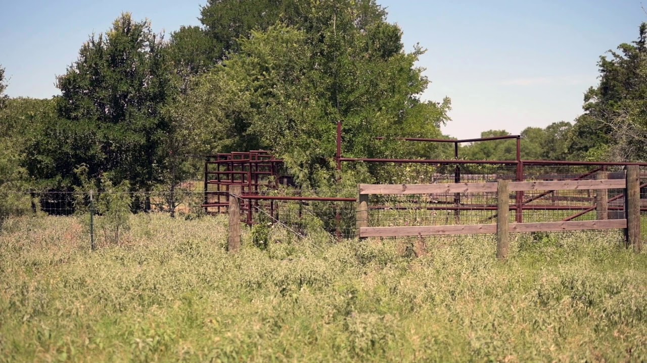 La Grange Ranch YouTube