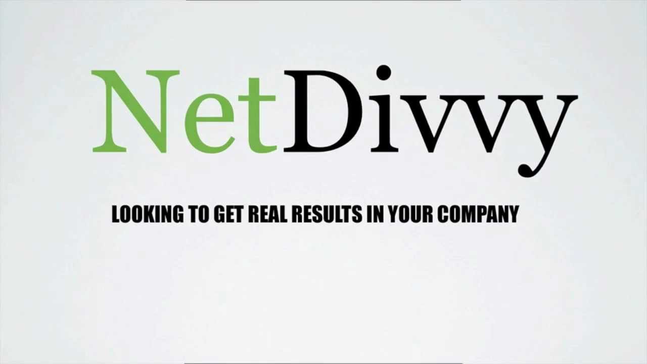 NetDivvy Marketing System | Successfully Building Websites with Netdivvy