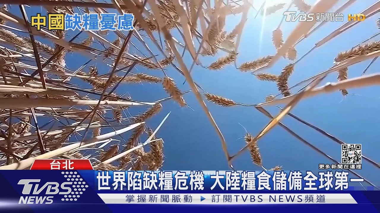 大陸為國安囤糧! 搜刮全球一半糧食 | 十點不一樣 20220808